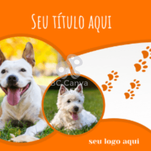 Pet pack y veterinarios